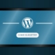 WordPress — це: що таке CMS WordPress та чому вона така популярна