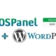 Как установить wordpress на open server