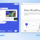 Сколько стоит сайт на WordPress